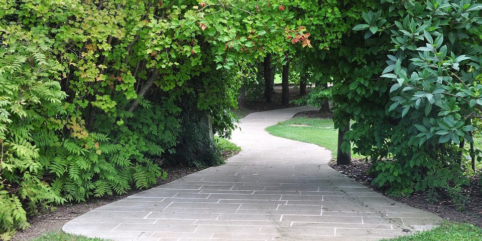 garden-930815_960_720